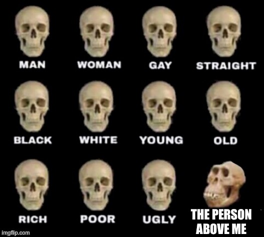 idiot skull | THE PERSON ABOVE ME | image tagged in idiot skull | made w/ Imgflip meme maker
