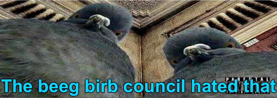 The beeg birb council hated that | image tagged in the beeg birb council hated that | made w/ Imgflip meme maker