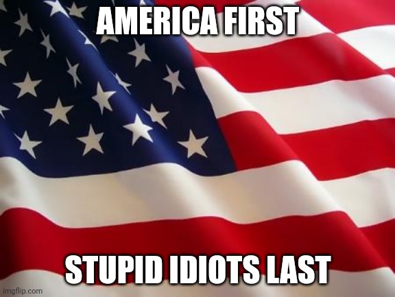 American flag | AMERICA FIRST; STUPID IDIOTS LAST | image tagged in american flag | made w/ Imgflip meme maker