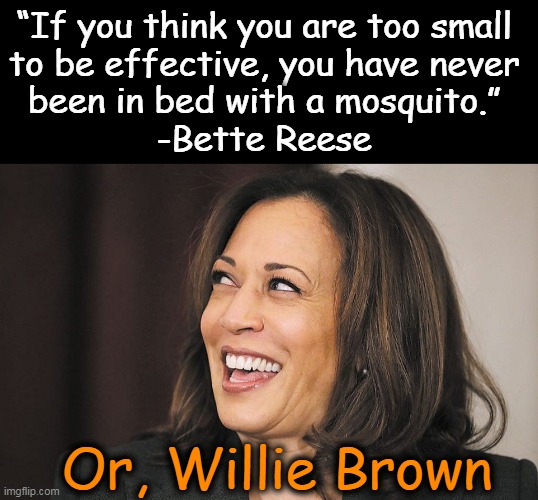 "Words of Wisdom" From Kamala; JK but it's smarter than some of the stuff she's said! | “If you think you are too small 
to be effective, you have never 
been in bed with a mosquito.” 
-Bette Reese; Or, Willie Brown | image tagged in political meme,kamala harris,imgflip humor,politics lol,willie brown,comparison | made w/ Imgflip meme maker