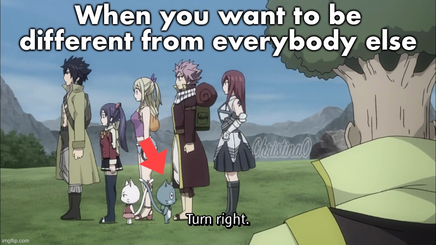 Different - Fairy Tail Meme |  When you want to be different from everybody else | image tagged in memes,fairy tail,fairy tail meme,anime,happy fairy tail,different | made w/ Imgflip meme maker