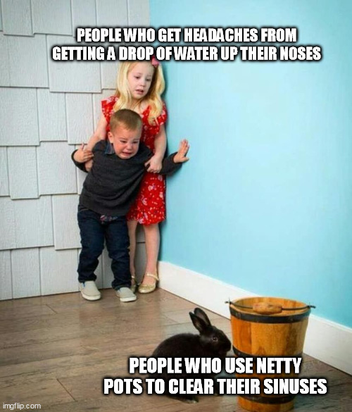 Netty Pot no no no | PEOPLE WHO GET HEADACHES FROM GETTING A DROP OF WATER UP THEIR NOSES; PEOPLE WHO USE NETTY POTS TO CLEAR THEIR SINUSES | image tagged in children scared of rabbit | made w/ Imgflip meme maker