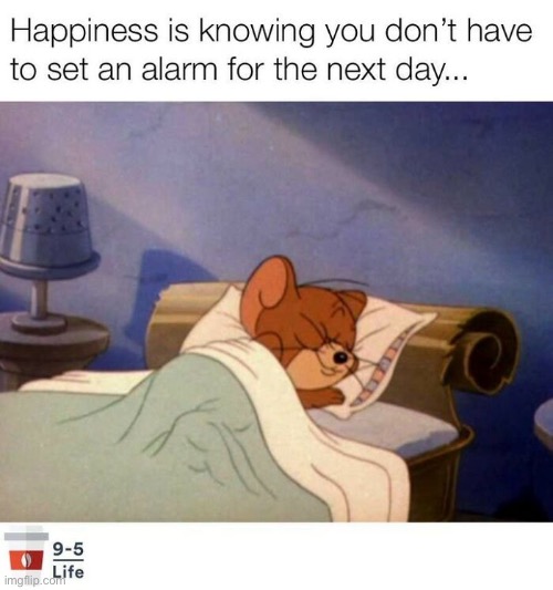 Facts | image tagged in sleep,memes,tom and jerry | made w/ Imgflip meme maker