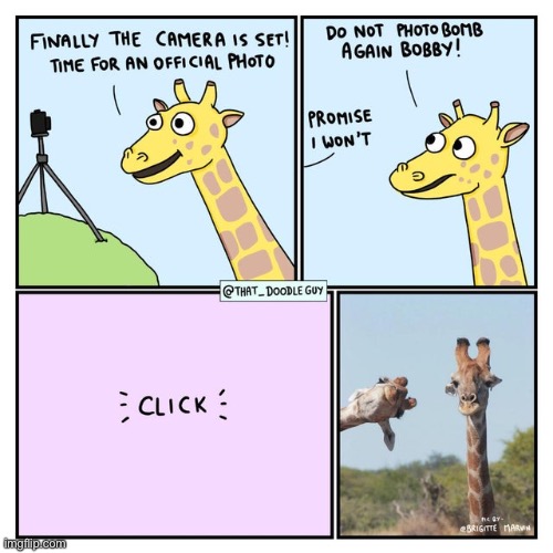image tagged in comics,funny,memes,photobomb,giraffe | made w/ Imgflip meme maker