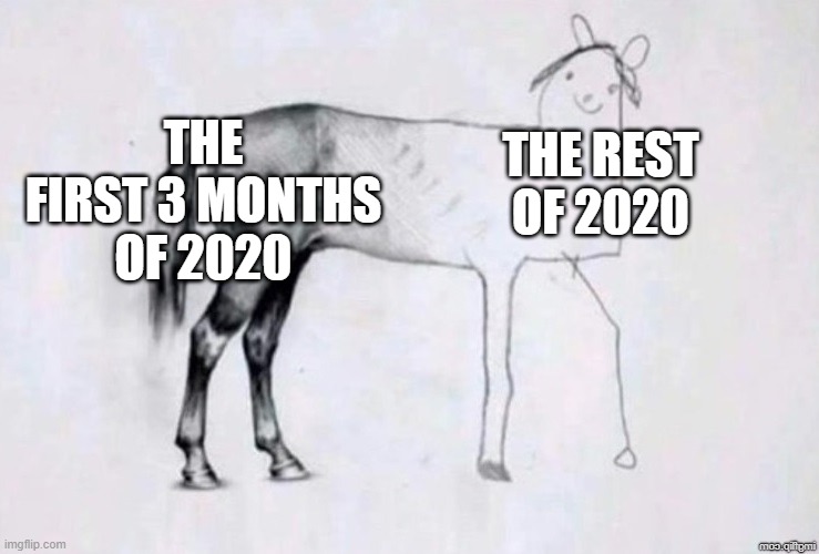 free epic dill seeds | THE FIRST 3 MONTHS OF 2020; THE REST OF 2020 | image tagged in horse drawing | made w/ Imgflip meme maker