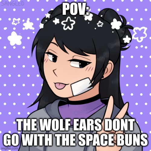 this is my oc, Galaxy | POV:; THE WOLF EARS DONT GO WITH THE SPACE BUNS | image tagged in oc | made w/ Imgflip meme maker