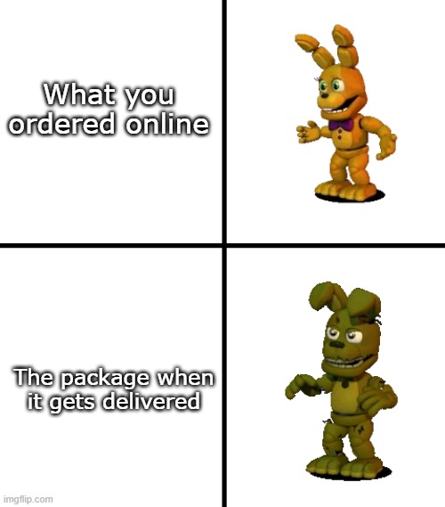 Expectation vs Reality |  What you ordered online; The package when it gets delivered | image tagged in expectations vs reality fnaf world edit,expectation vs reality | made w/ Imgflip meme maker