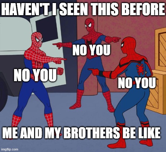 Spider Man Triple | HAVEN'T I SEEN THIS BEFORE; NO YOU; NO YOU; NO YOU; ME AND MY BROTHERS BE LIKE | image tagged in spider man triple | made w/ Imgflip meme maker