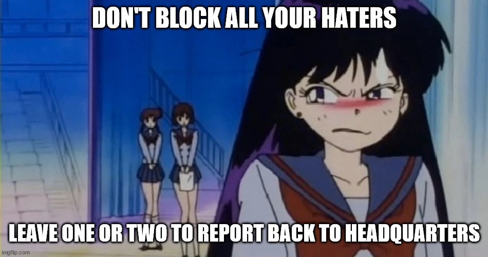 Haters | DON'T BLOCK ALL YOUR HATERS; LEAVE ONE OR TWO TO REPORT BACK TO HEADQUARTERS | image tagged in rei hino | made w/ Imgflip meme maker