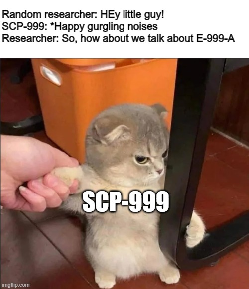 WE don't talk about E-999-A-yay-yay. We don't talk about E-999-AAAA. BUT- | Random researcher: HEy little guy!
SCP-999: *Happy gurgling noises
Researcher: So, how about we talk about E-999-A; SCP-999 | image tagged in adorable anger cat,scp 914,scp 999,refinement gone wrong | made w/ Imgflip meme maker