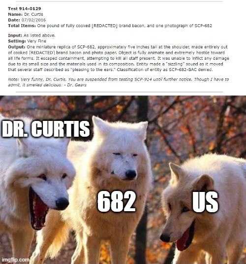 SCP-682-BAC. No other words required. | DR. CURTIS; 682; US | image tagged in laughing wolf,certified bruh moment,iwanttobebacon,scp 682,funny memes | made w/ Imgflip meme maker