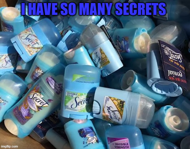 I HAVE SO MANY SECRETS | image tagged in bad pun dog | made w/ Imgflip meme maker