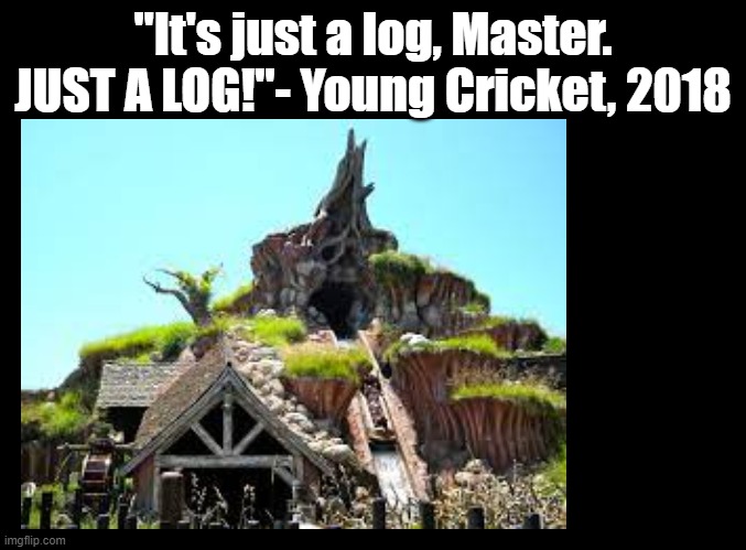I love Splash Mountain | "It's just a log, Master. JUST A LOG!"- Young Cricket, 2018 | image tagged in blank black,warioware,disneyland,splash mountain | made w/ Imgflip meme maker