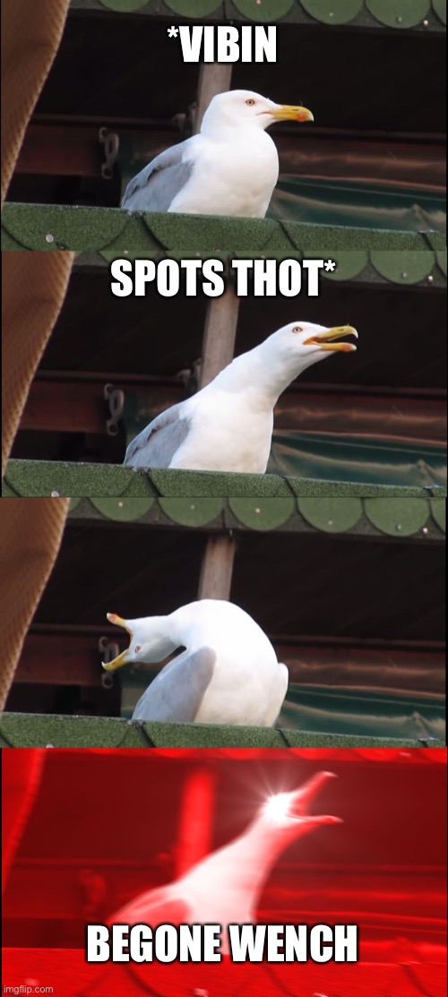 Be like Seagull | *VIBIN; SPOTS THOT*; BEGONE WENCH | image tagged in memes,inhaling seagull | made w/ Imgflip meme maker