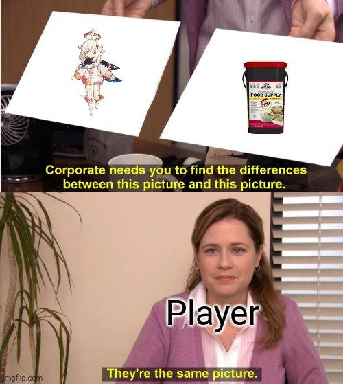 They're The Same Picture | Player | image tagged in memes,they're the same picture,genshin impact,emergency food,paimon | made w/ Imgflip meme maker