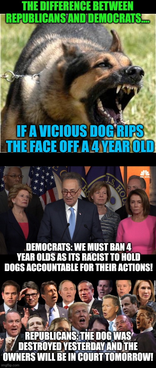 Democrat's constant victim bashing was getting old 25 years ago. But you don't hold them accountable for anything either... |  THE DIFFERENCE BETWEEN REPUBLICANS AND DEMOCRATS.... IF A VICIOUS DOG RIPS THE FACE OFF A 4 YEAR OLD; DEMOCRATS: WE MUST BAN 4 YEAR OLDS AS ITS RACIST TO HOLD DOGS ACCOUNTABLE FOR THEIR ACTIONS! REPUBLICANS: THE DOG WAS DESTROYED YESTERDAY AND THE OWNERS WILL BE IN COURT TOMORROW! | image tagged in angry dog,the republicans,democrats,liberal logic,crime,stupid people | made w/ Imgflip meme maker