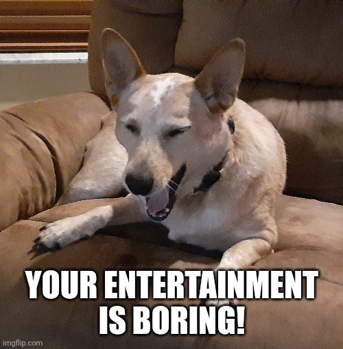 YOUR ENTERTAINMENT IS BORING! | made w/ Imgflip meme maker