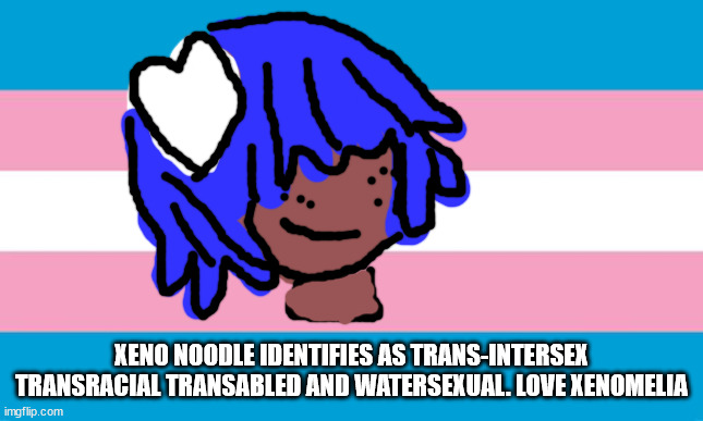 a transgender meme by xeno kallum | XENO NOODLE IDENTIFIES AS TRANS-INTERSEX TRANSRACIAL TRANSABLED AND WATERSEXUAL. LOVE XENOMELIA | image tagged in transgender | made w/ Imgflip meme maker