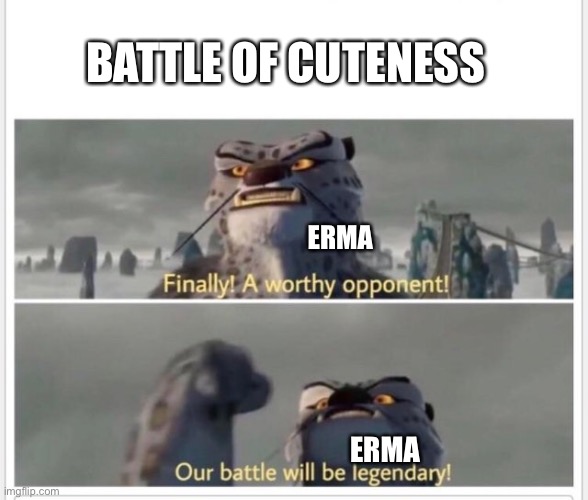 Finally! A worthy opponent! | ERMA ERMA BATTLE OF CUTENESS | image tagged in finally a worthy opponent | made w/ Imgflip meme maker