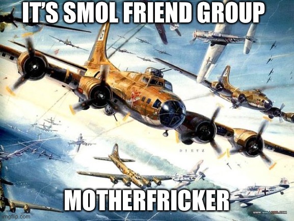 World War 2 B-17 | IT’S SMOL FRIEND GROUP MOTHERFRICKER | image tagged in world war 2 b-17 | made w/ Imgflip meme maker