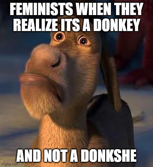 Bad joke | FEMINISTS WHEN THEY REALIZE ITS A DONKEY; AND NOT A DONKSHE | image tagged in sad donkey | made w/ Imgflip meme maker