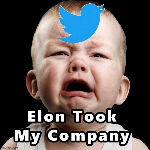Twitter Libs Cry More Often These Days | image tagged in elon musk,twitter,memes,crying | made w/ Imgflip meme maker