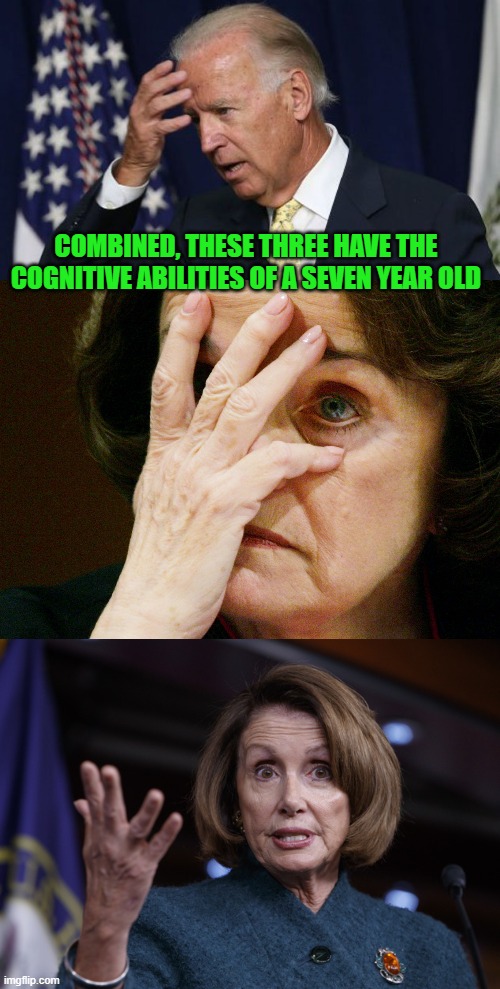 COMBINED, THESE THREE HAVE THE COGNITIVE ABILITIES OF A SEVEN YEAR OLD | image tagged in joe biden worries,dianne feinstein can't handle the truth,good old nancy pelosi | made w/ Imgflip meme maker