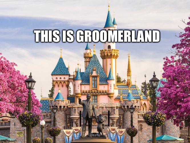 Disneyland | THIS IS GROOMERLAND | image tagged in disneyland | made w/ Imgflip meme maker