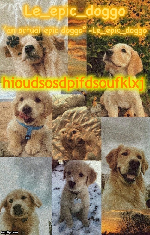 Doggo temp by doggo. Wait what that’s confusing | hioudsosdpifdsoufklxj | image tagged in doggo temp by doggo wait what that s confusing | made w/ Imgflip meme maker