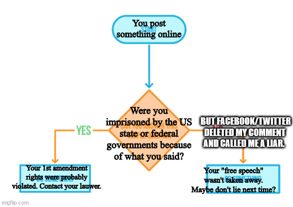 Flowchart | You post something online; Were you imprisoned by the US state or federal governments because of what you said? BUT FACEBOOK/TWITTER DELETED MY COMMENT AND CALLED ME A LIAR. Your 1st amendment rights were probably violated. Contact your lauwer. Your "free speech" wasn't taken away. Maybe don't lie next time? | image tagged in flowchart | made w/ Imgflip meme maker