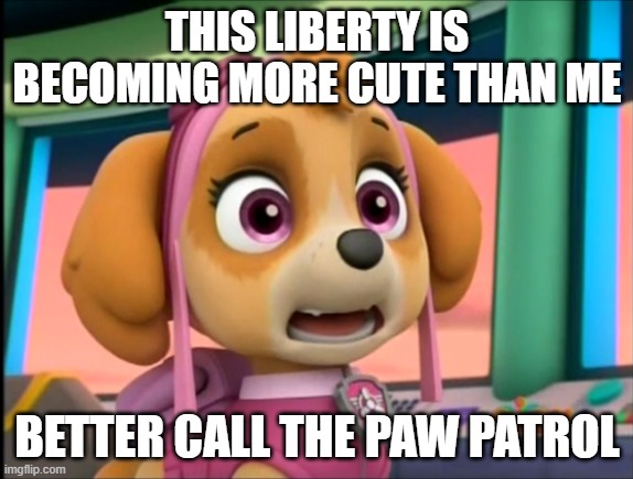 shocked that liberty is more cute than her | THIS LIBERTY IS BECOMING MORE CUTE THAN ME; BETTER CALL THE PAW PATROL | image tagged in shocked skye | made w/ Imgflip meme maker