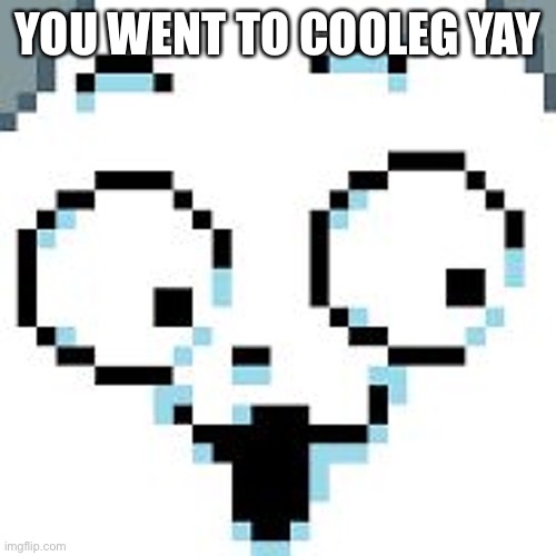 tEMMIE  | YOU WENT TO COOLEG YAY | image tagged in temmie | made w/ Imgflip meme maker