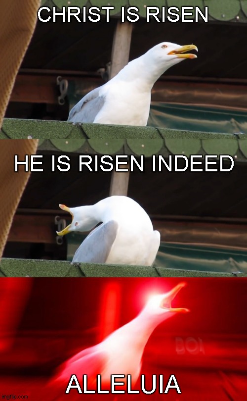 Easter | CHRIST IS RISEN; HE IS RISEN INDEED; ALLELUIA | image tagged in inhaling seagull | made w/ Imgflip meme maker