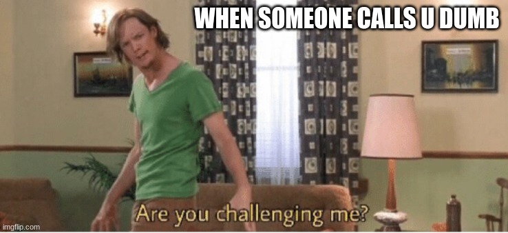 are you challenging me | WHEN SOMEONE CALLS U DUMB | image tagged in are you challenging me | made w/ Imgflip meme maker