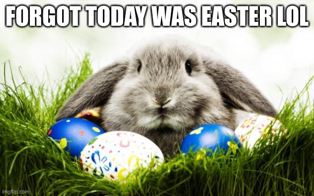 :P | FORGOT TODAY WAS EASTER LOL | image tagged in easter bunny | made w/ Imgflip meme maker