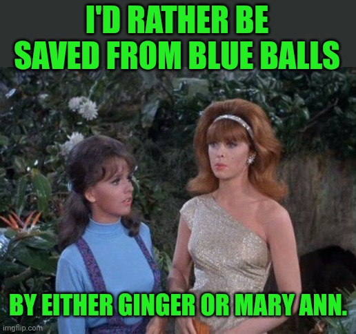 Ginger and Mary Ann | I'D RATHER BE SAVED FROM BLUE BALLS BY EITHER GINGER OR MARY ANN. | image tagged in ginger and mary ann | made w/ Imgflip meme maker