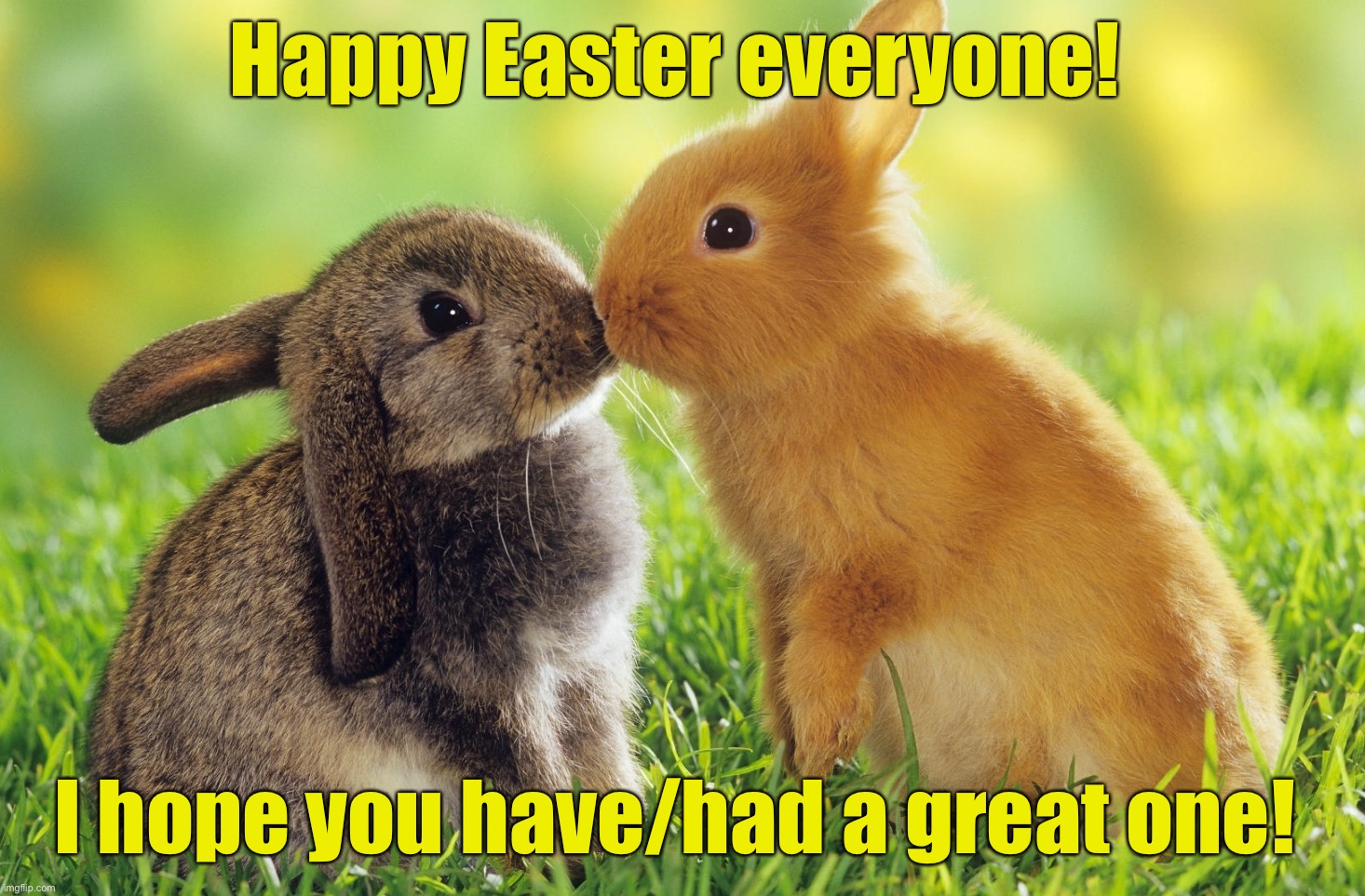 Happy Easter! | Happy Easter everyone! I hope you have/had a great one! | image tagged in easter bunnies,memes,easter,happy easter,bunnies,easter eggs | made w/ Imgflip meme maker