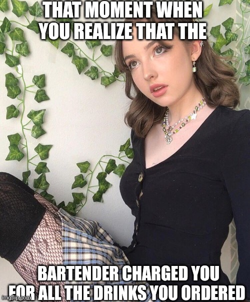 Yes, there is no free lunch honey. | THAT MOMENT WHEN YOU REALIZE THAT THE; BARTENDER CHARGED YOU FOR ALL THE DRINKS YOU ORDERED | image tagged in retrof4iry,bartender,flirt,entitlement,life lessons | made w/ Imgflip meme maker