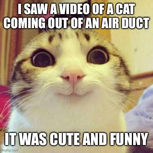 Cats will hide anywhere | I SAW A VIDEO OF A CAT COMING OUT OF AN AIR DUCT; IT WAS CUTE AND FUNNY | image tagged in memes,smiling cat,cats,hiding,vent | made w/ Imgflip meme maker