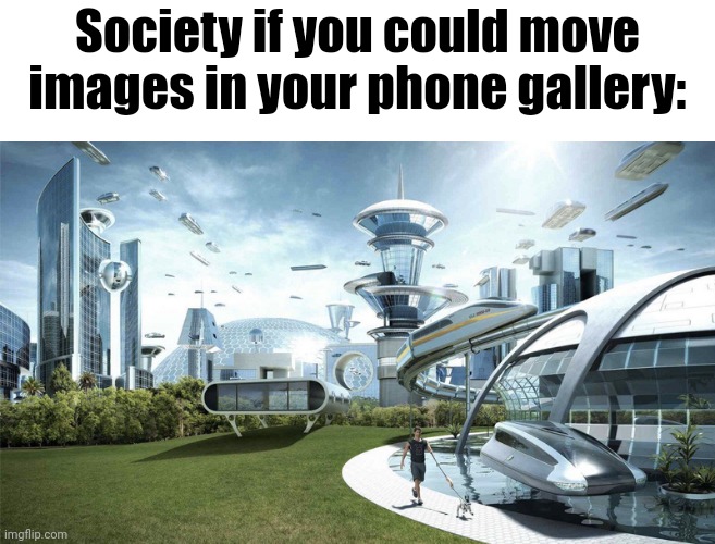They should make this a feature | Society if you could move images in your phone gallery: | image tagged in the future world if | made w/ Imgflip meme maker