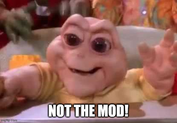 Not the momma | NOT THE MOD! | image tagged in not the momma | made w/ Imgflip meme maker