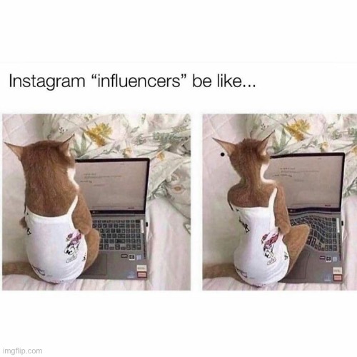 Pretty true though. They are just messing themselves up | image tagged in facts,memes,true,instagram,influencer | made w/ Imgflip meme maker
