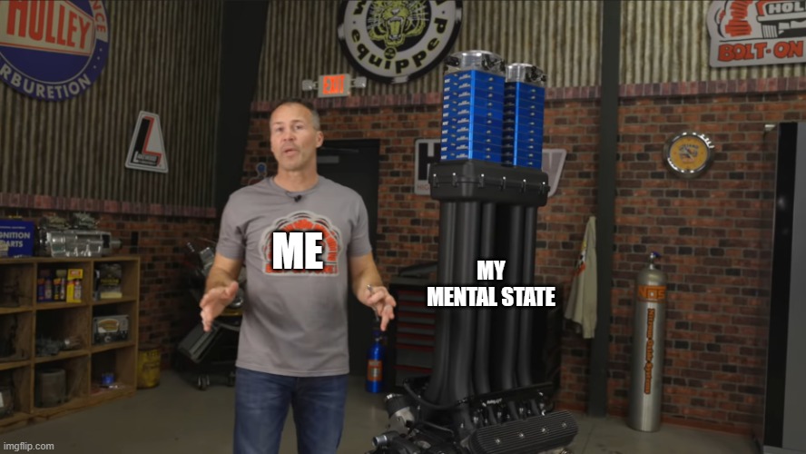 me and my mental state | MY MENTAL STATE; ME | image tagged in holley,me and my mental state,me and my memes | made w/ Imgflip meme maker
