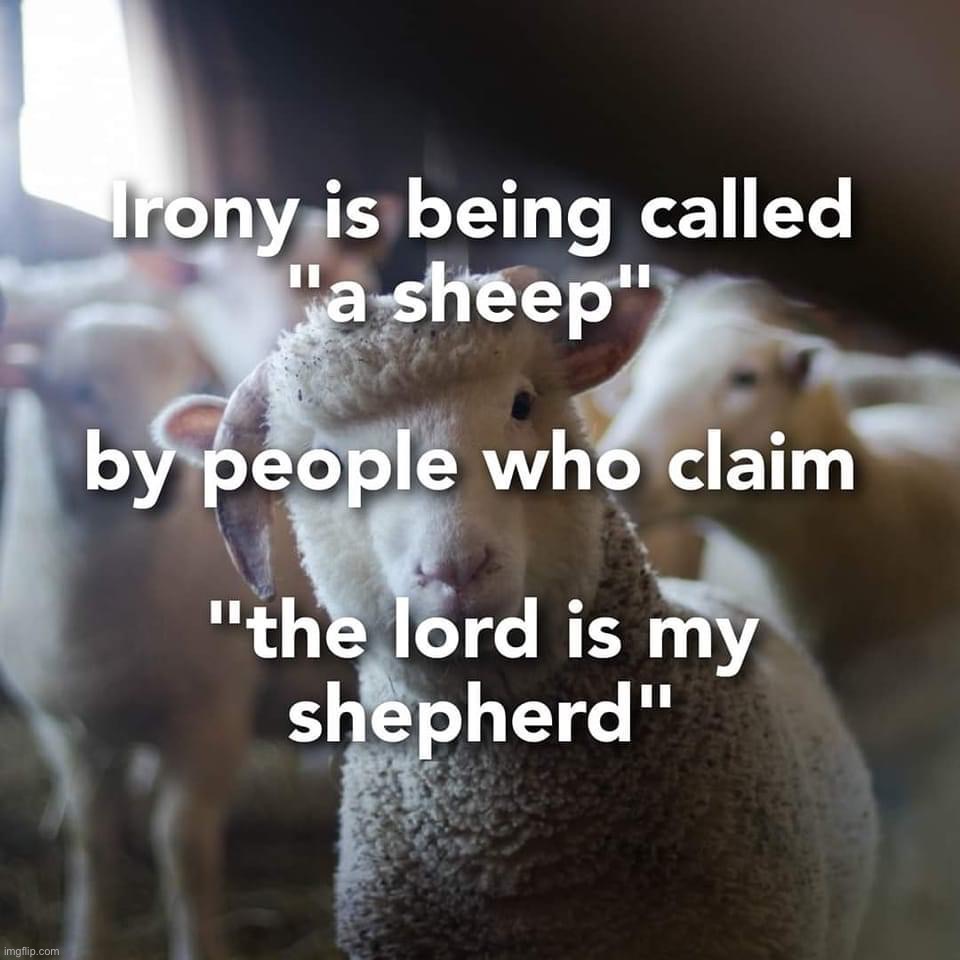 Irony is being called a sheep | image tagged in irony is being called a sheep | made w/ Imgflip meme maker