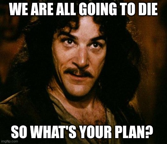 Got somewhere to go? | WE ARE ALL GOING TO DIE; SO WHAT'S YOUR PLAN? | image tagged in memes,inigo montoya | made w/ Imgflip meme maker