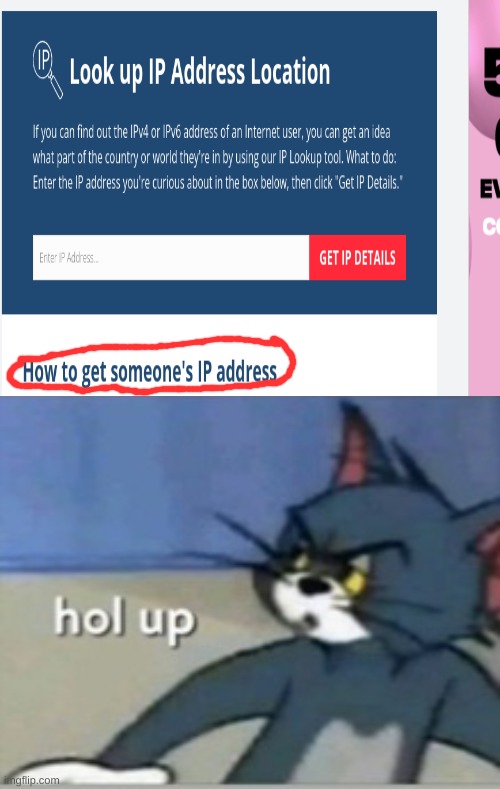 WHAT | image tagged in hol up,ip address | made w/ Imgflip meme maker