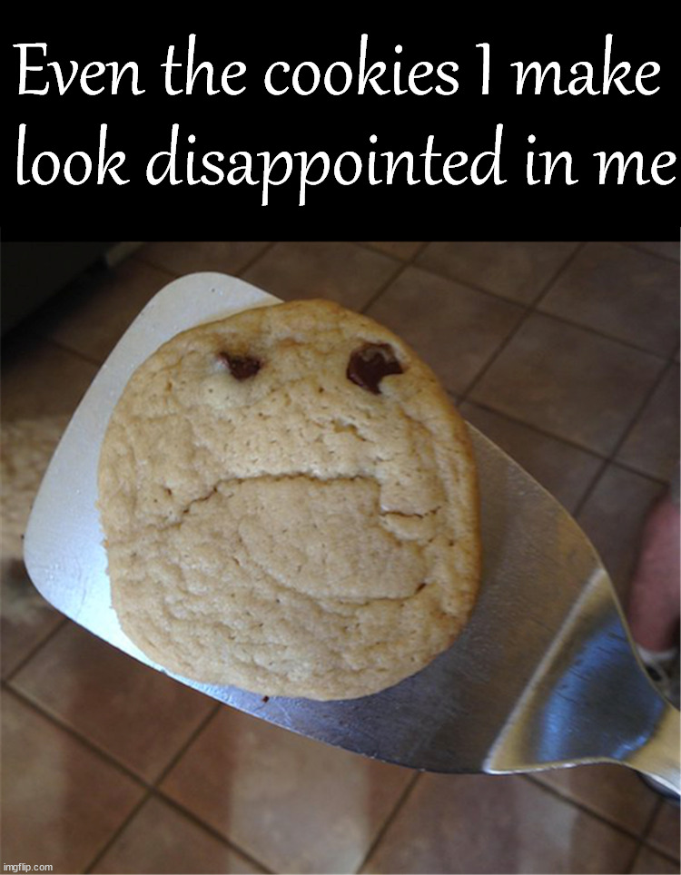  Even the cookies I make 
look disappointed in me | image tagged in disappointed | made w/ Imgflip meme maker