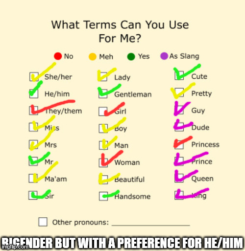 teehee | BIGENDER BUT WITH A PREFERENCE FOR HE/HIM | image tagged in pronouns sheet | made w/ Imgflip meme maker