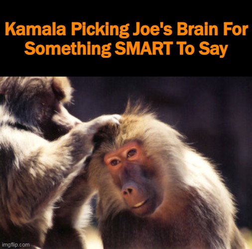 It's Going To Be A CHALLENGE Either Way. . . . | Kamala Picking Joe's Brain For
 Something SMART To Say | image tagged in politics,joe biden,kamala harris,dumb and dumber,brain freeze,there's no brain here | made w/ Imgflip meme maker