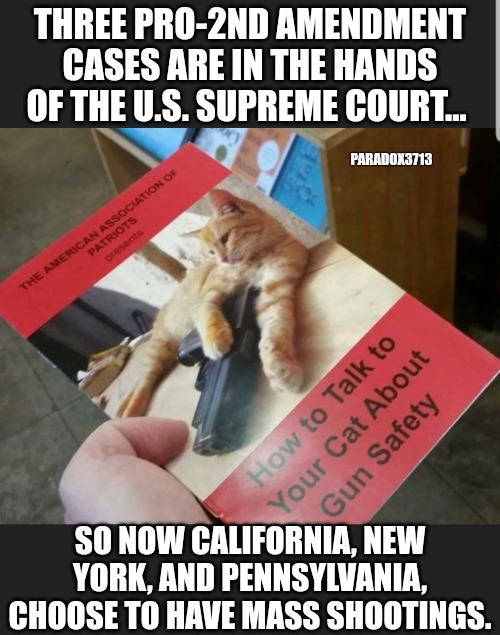 Not sure if timing of reporting is based on chance or propaganda?  Yep, its propaganda. | THREE PRO-2ND AMENDMENT CASES ARE IN THE HANDS OF THE U.S. SUPREME COURT... PARADOX3713; SO NOW CALIFORNIA, NEW YORK, AND PENNSYLVANIA, CHOOSE TO HAVE MASS SHOOTINGS. | image tagged in memes,politics,2nd amendment,crime,scotus,sus | made w/ Imgflip meme maker